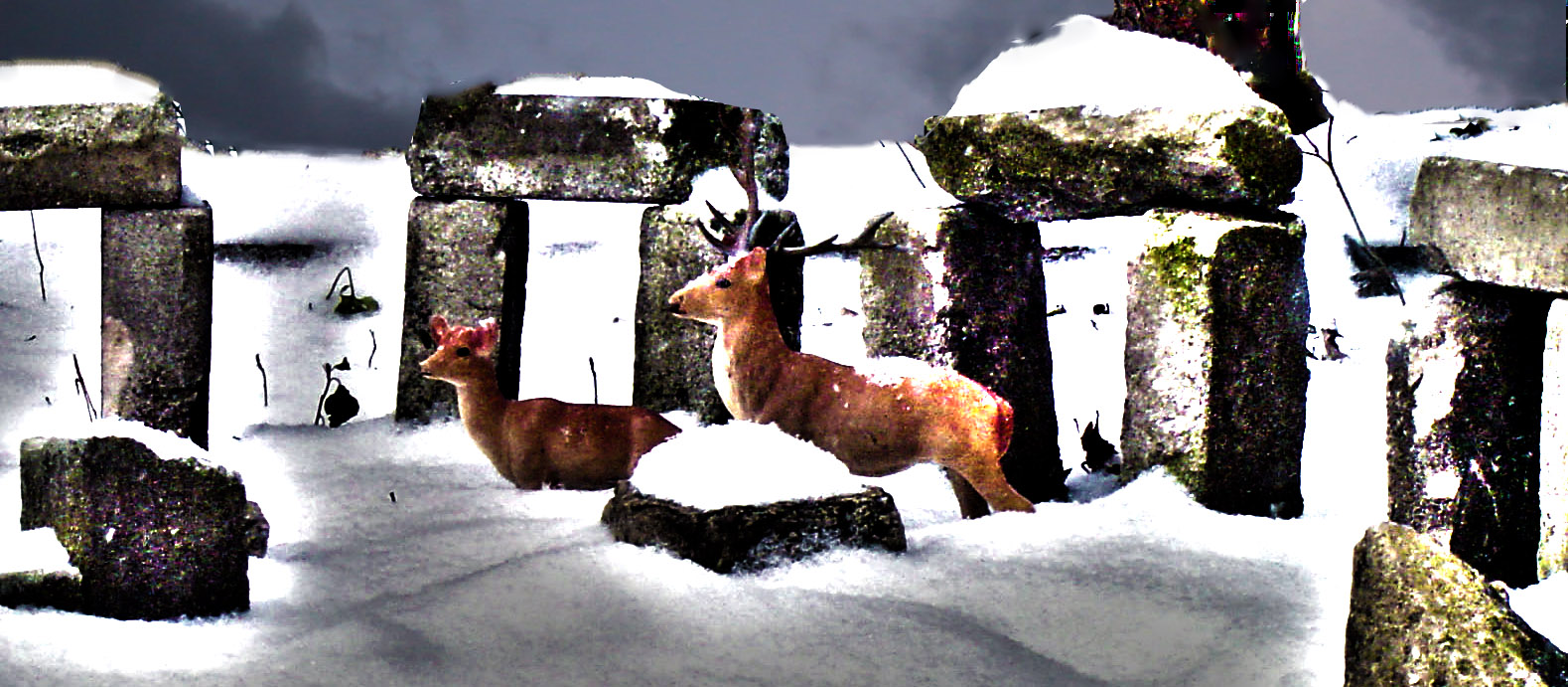 stag & doe at yardhenge late fall